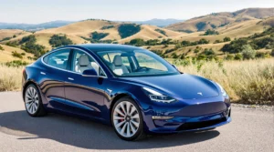 Tesla Model Y / Model E (2 Cars Available)